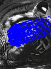 山㴀, 白虎, 蒲南