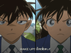 [명탐정코난/신란] 부부싸움