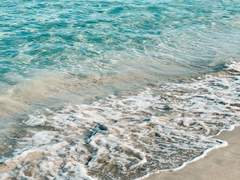 얼렁뚱땅 커뮤 리스트