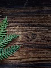 Call of Lethe / 홍삼운