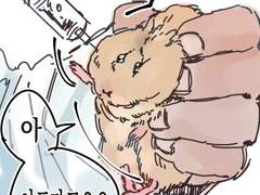 수의사 알젬과 햄쥐뎅