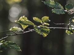 왜 계속 엇나가는 기분이 들까.