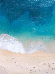 바다상어와 검은토끼