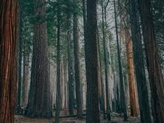 리바한지 :: 사후약방문