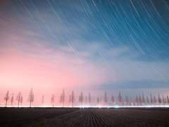 [Riley E. Adeline /1학년/리벨/실전학부 전투마법/합]