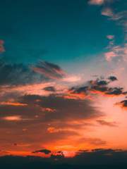 철학&과학 잡글들