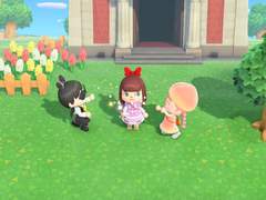 스위치 구매 및 동숲 일기