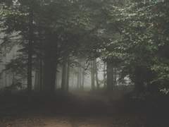 유지른기반 나폴리탄