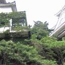 어차피 인생사 한여름 밤 꿈같은 것