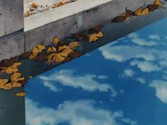 [하이큐/마츠카와 드림] 남고생의 순정 後