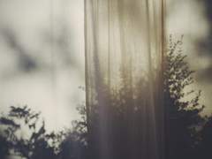 일상이었던 것 하나