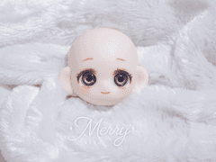 반프리 ㅣ 레몬 ㅣ 일반타입