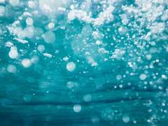 있지, 나는 궁금해.