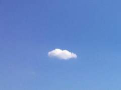 자유롭고 싶어서 나는,