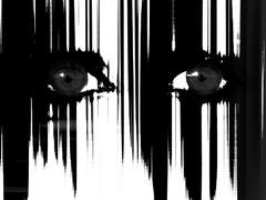 그 집에 있던 무언가 제 5편 (完)