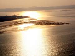 퇴사하고 싶다.