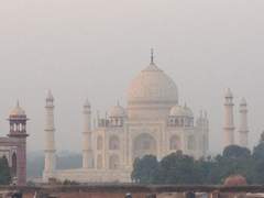 나의 비상식적인 인도여행