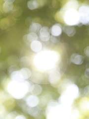 [로맨스 소설] 그리운 사랑