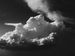 나는 침묵을 선택했어.