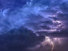 우리 사이의 빨간 선,