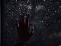 내가 이르되 행복이라 하였다.