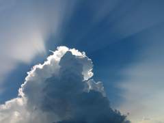 청춘과 과거 사이.