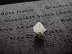 이름의 증명證明