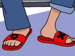 23. 트럼프의 모순