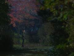 ep.10 - 찾아주세요