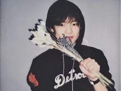 계수나무 한 나무