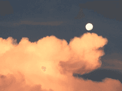 [레인월드] 작은 달