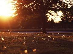 무한의 생에 유한한 너를 만나