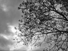 [빌런이네트->건터] 넌 그때 나의 이름을 불렀다.