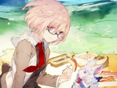 페그오 뉴비 ZOA 2