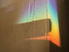 다시 만난 세계