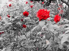 배가 고파 폭식증.