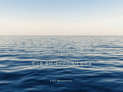 [문송안함] 친구를 찾아 네덜란드에서 왔어요