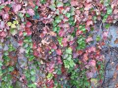 나는 남편감으로 몇 점이지?