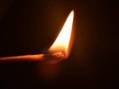 오늘도 불씨는 길을 밝힌다