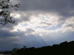 마음한 트친 소설 써주기