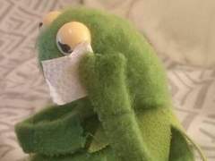 지워지지 않는 것