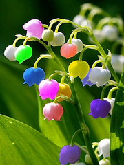 문스독 아츠다자