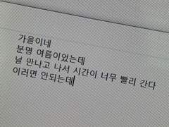 머메이드 판타지 下