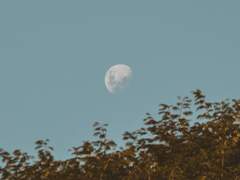 오사른 연성백업 05