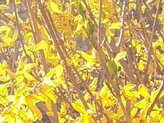 공허하다 못해서 꽉차버린 네가.