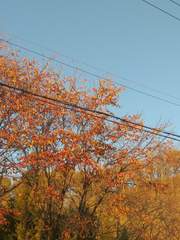 맘에 들었던 글로그 + 그때 그림 저장용