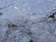 아베미 │ 비내리는 그라운드