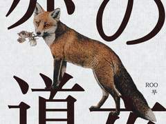 적도의 밤 #37 (전체ver)