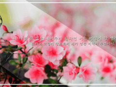 내 마음 한 켠이라... 내어주는 것은 어렵지 않단다. 그러나- 내어주게 된다면 너는 어떻게 할 생각이니?