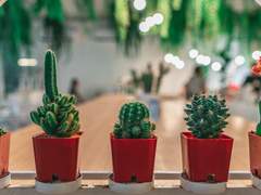 본즈커크 - 6시에 돌아올게 完